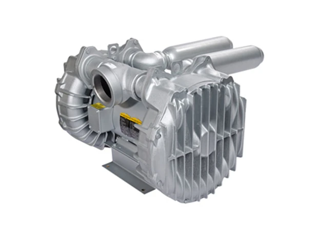 r6pp-gast-sigurdstavemaskin